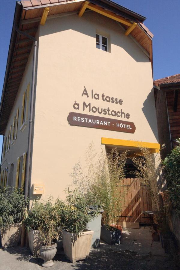 Hotel A La Tasse A Moustache 托农莱班 外观 照片